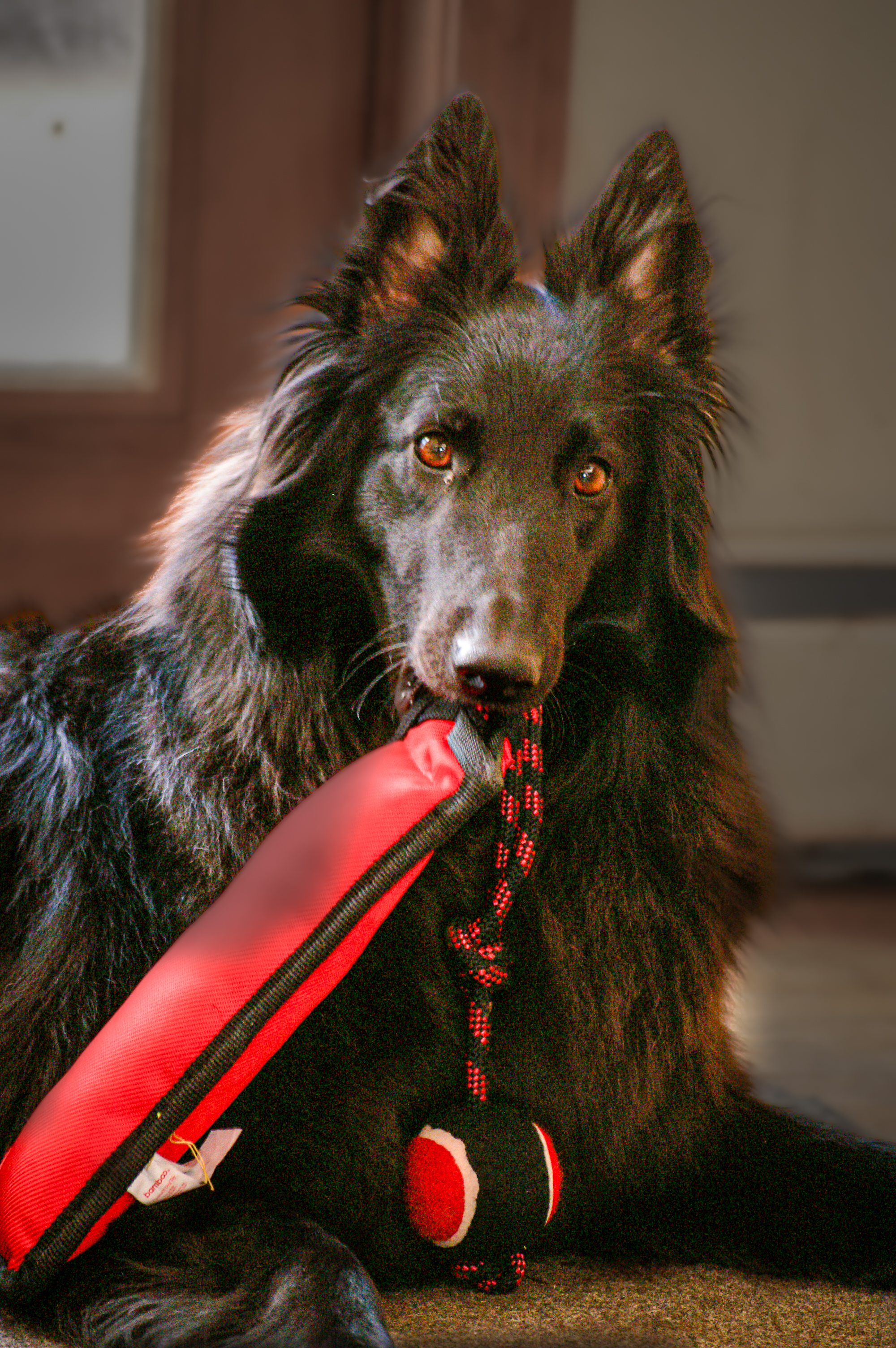 Breaker With Her TOy
