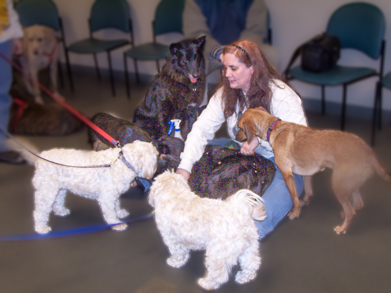 Cheyenne in Playgroup